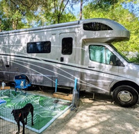 Escape Ordinary — Ride with Frolicking Flamingos RV!
