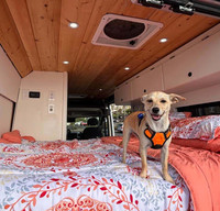 SoCal Van Life