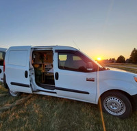 Fern and Friends-FREYA