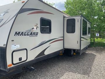 Heartland Mallard