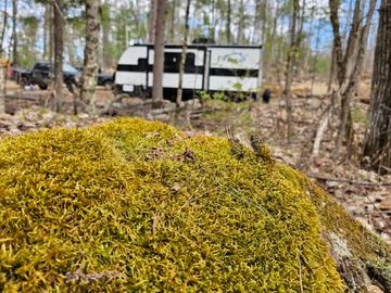 Direct from Dealer Spring 2024 - Heartland RVs Prowler Lynx