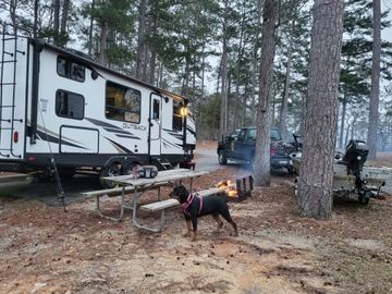 The Baby Outback