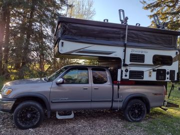 Pack-n-Play Palomino