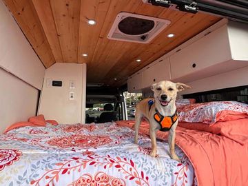 Hot Outdoor Shower · Pet Friendly · Premium Mattress · Flexible Pickup