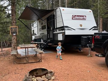 **Coleman Lantern 295QB**