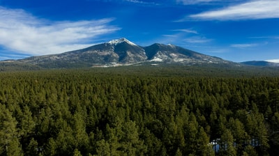 Large forest and mountain in Flagstaff AZ