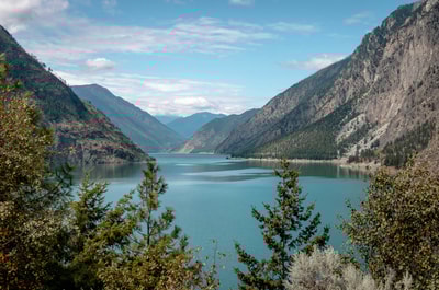 Green trees by lake in Kamloops BC