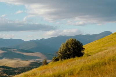 Grassy hill in Missoula MT