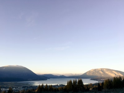 Green trees near mountain in Salmon Arm BC