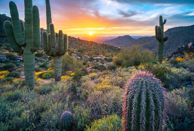 Spectacular sunset over Windgate Pass Tucson