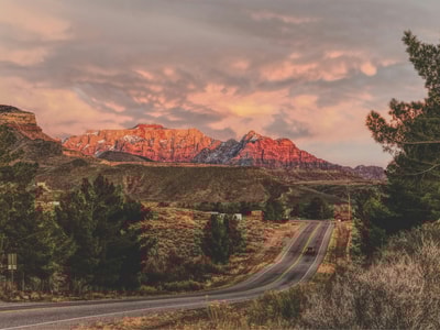 Car on road in Zion National Park