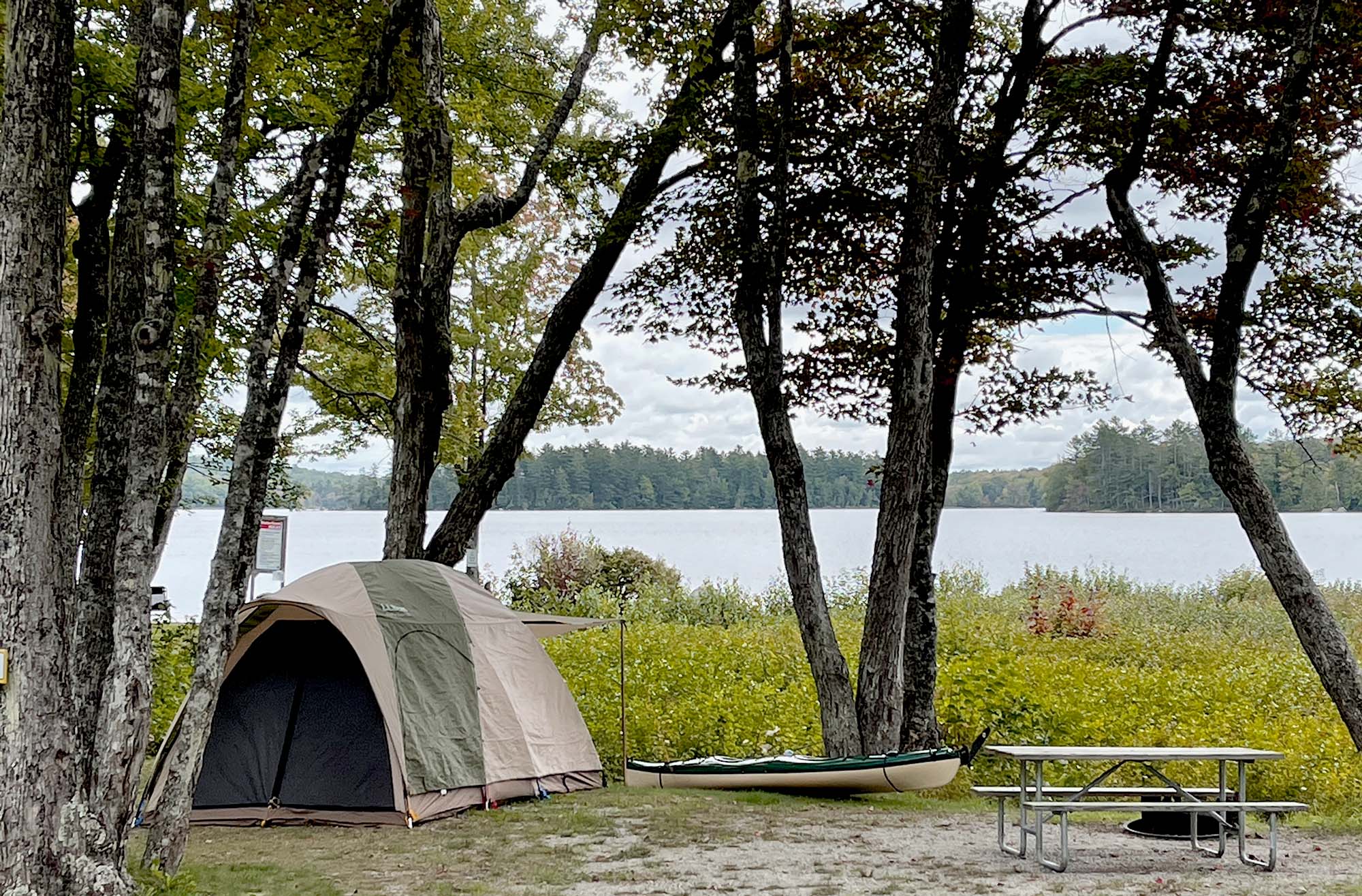 tent, kayak and picnic table under the trees, near a pond.