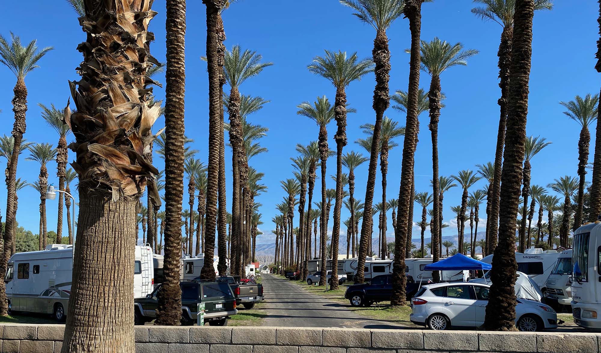 rv's in a beautiful campground in palm desert california